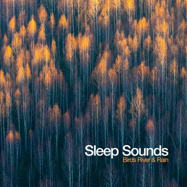 Sweet Sounding Birds