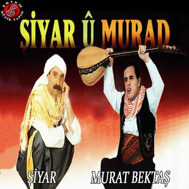 MŞ