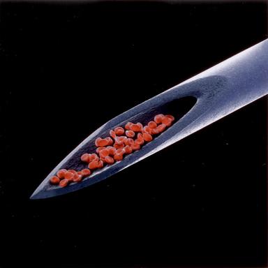 The Book Of Love - Live