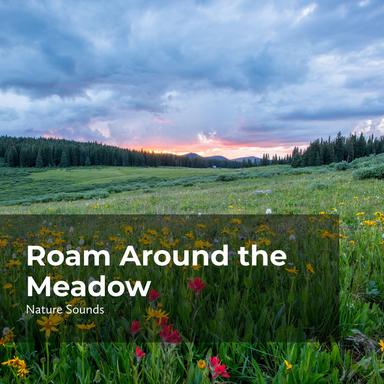 River Flows in Rhythm