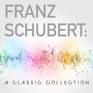 String Quintet in C Major, D. 956: II. Adagio