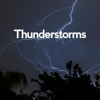 Sleep Through the Downpour