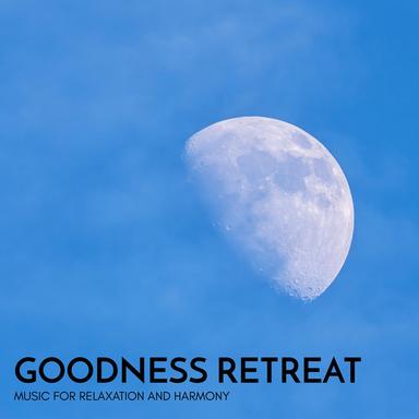 Dream Into The Night