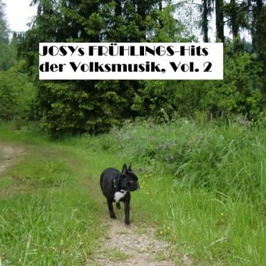 Ein Stückchen blauer Himmel