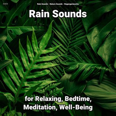 Soundscapes to Fall Asleep