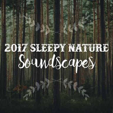 Crickets in the Rain