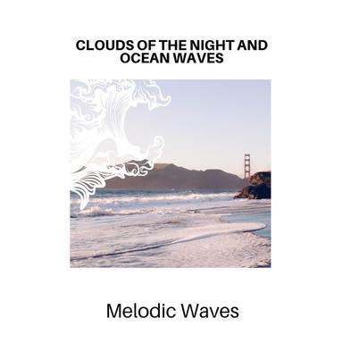 Ambient Ocean and Bird Sound