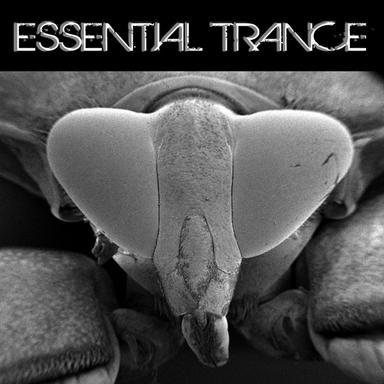 Better Off Alone - Remix