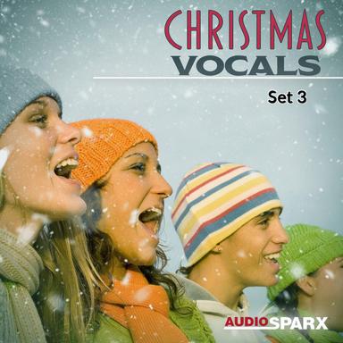 Silent Night (Female Vocal)