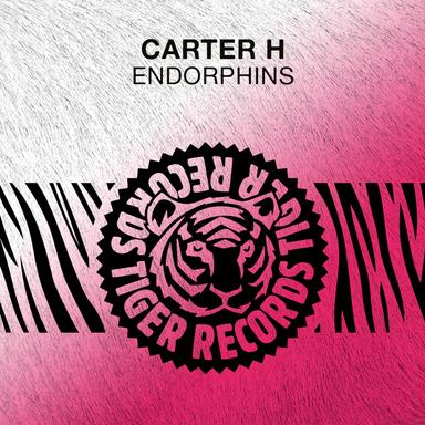 Endorphins - Original Mix