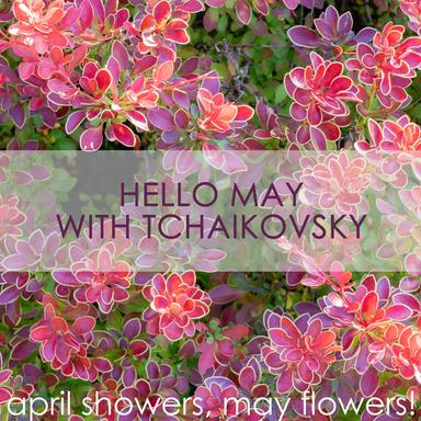 Hello May with Tchaikovsky