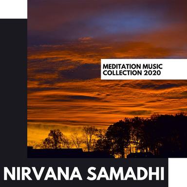 Rejuvenation Paradigm