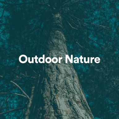 Relaxing Ocean Sounds, Pt. 7