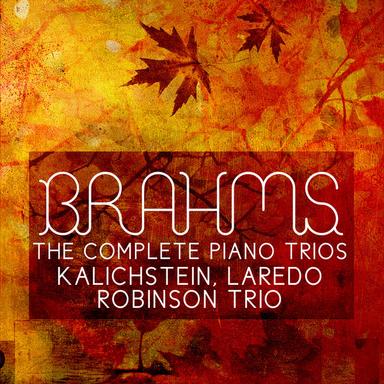 Trio No. 3 in C Minor for Violin, Cello and Piano, Op. 101: II. Presto non assai