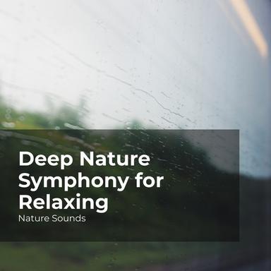 Cozy in the Wilderness