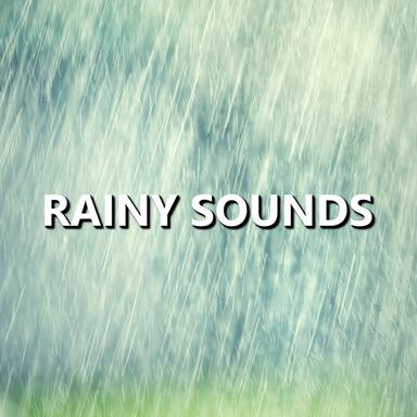Windy Nightfall Rain Sounds
