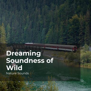 Waterfall in a Distance