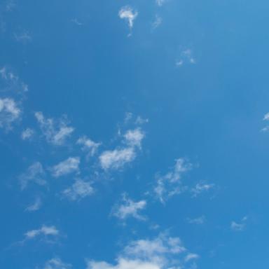 Walking on the Shore