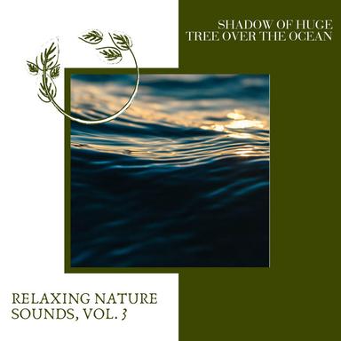 Woodland Resort and Waves Sound