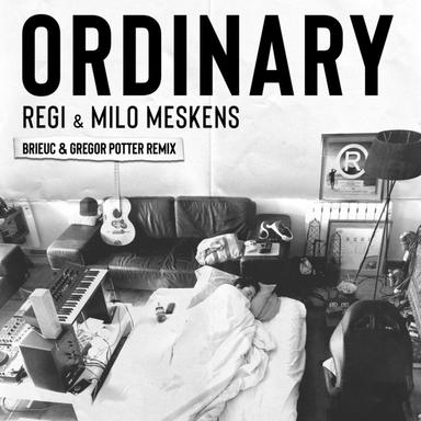 Ordinary - Brieuc & Gregor Potter Remix