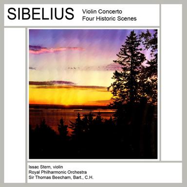 Violin Concerto in D Minor, Op. 47: II. Adagio di molto