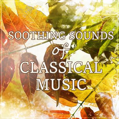 Komm, Liebe Zither, Komm in C Major, K. 351