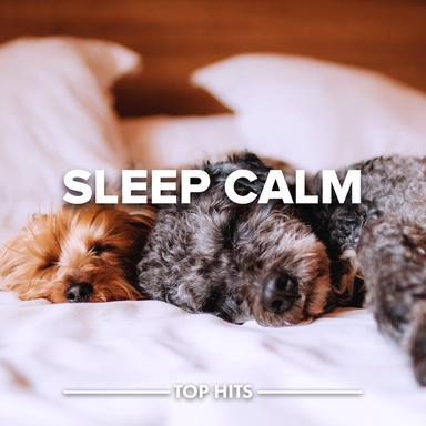 Nocturne No. 4 in A Major, H.36