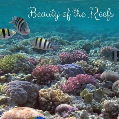 Tonight Will Be Yesterday