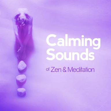 Meditation on Mount Fuji