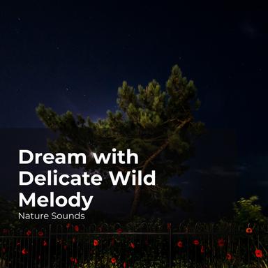 Chill Out in the Forest