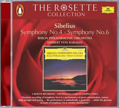 Symphony No. 6 in D Minor, Op. 104: IV. Allegro molto