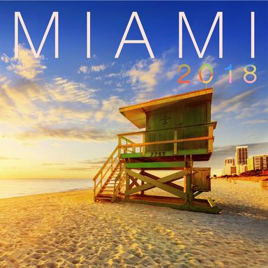 Virgin's Back - Microwave Monkeys Remix