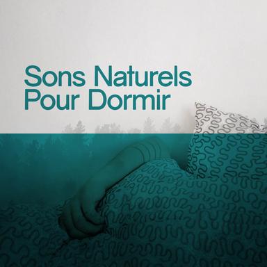 Birds and Rock Pools