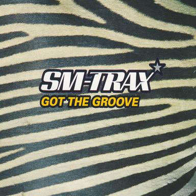 Got the Groove - SM in Motion Mix