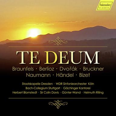Te Deum, Op. 103, B. 176: No. 5, Benedicamus Patrem