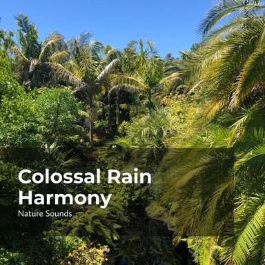 Tropical Island Beach