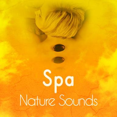 Idyllic Beach Calm Waves