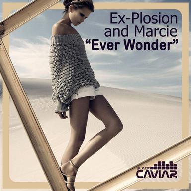 Ever Wonder - Tony Palmer Remix