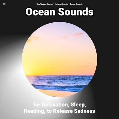 Beach Waves No Music