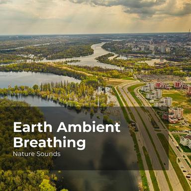 Magnificent Woodland