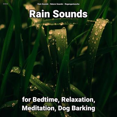 Sounds of Rain for Sleeping