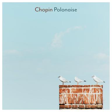 Waltz No. 14 in E Minor, Op. posth. - Pt. 2