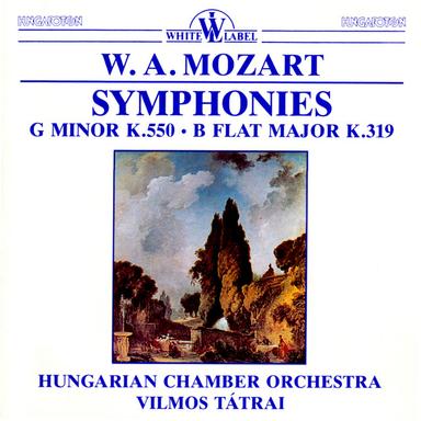 Symphony No. 40 in G Minor, K. 550: II. Andante