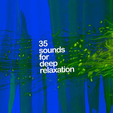 Sounds of the Forest