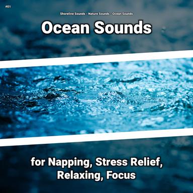 Ocean Sounds for Studying