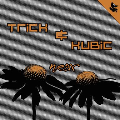 Near - Markus Lange Remix