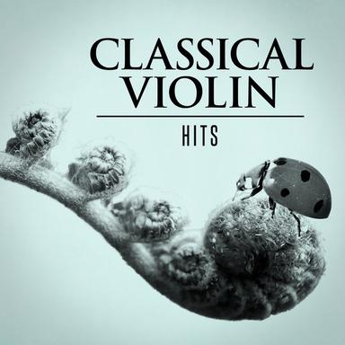 Violin Sonata No. 21 in E Minor, K. 304: I. Allegro