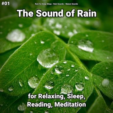 Unwinding Rain Sounds
