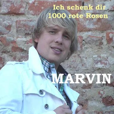 Ich schenk dir 1000 rote Rosen