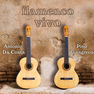 Flamenco Vivo